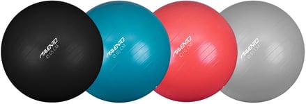 Avento Trening / Gym Ball Ø 65 cm SORT