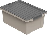 Rotho Compact Boîte de rangement 13l avec couvercle, Plastique (PP recyclé) sans BPA, cappuccino/anthracite, A4/13l (39.5 x 27.5 x 18.0 cm)