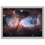 Hubble Space Telescope Image Bipolar Stellar Nursery Region S106 Nebula Forms Celestial Angel Wings In Bright Pink Red Blue Art Print Framed Poster Wa