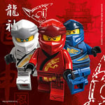 Procos Folat - Serviettes Papier Compostable Lego Ninjago 33x33cm - 20 pièces multicolore taille unique 92241P