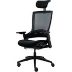 Ergotopia Nextback Chaise de Bureau Ergonomique – Fauteuil pivotant avec Appui-lordose réglable & accoudoirs – Chaise Ergonomique avec Appui-tête – Fauteuil de Bureau en Mesh