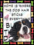 Shawprint Bernese Mountain Dog Fridge Magnet 100mm x 75mm HOME IS WHERE THE DOG HAIR STICKS TO EVERYTHING BUT THE DOG Novelty Gift