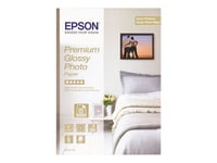 Epson Premium Glossy Photo Paper - Papier photo brillant - Rouleau (32,9 cm x 10 m) 1 rouleau(x) - pour SureColor P400, P600, SC-P10000, P20000, P400, P6000, P7000, P8000, P9000, T5200, T7200