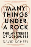 Many Things Under a Rock  The Mysteries of Octopuses