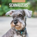 Schnauzer 2025 Square Wall Calendar