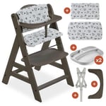 hauck Chaise Haute Bébé Alpha Plus avec Coussin, 2 x Assiette Bebe, Barre de Sécurité, Harnais 5 Points, en Bois et Évolutive dès 6 Mois - Charbon Nordic Grey