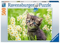 Ravensburger - Puzzle Adulte - Puzzle 500 pièces - Chaton dans la Prairie - Adultes et Enfants dès 12 Ans - Puzzle de qualité supérieure - 17378