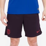 Nike Dry FC Barcelona Football Shorts (Maroon) - Large - New ~ AO5216 659