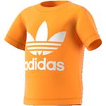 adidas Trefoil Tee T-Shirt Mixte Enfant, Real Gold S18/White, FR : XXS (Taille Fabricant : 0-3M)