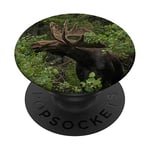 Moose Wildlife Animal Antlers PopSockets PopGrip: Swappable Grip for Phones & Tablets