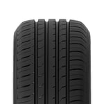 Maxxis Premitra HP5 205/50R16 91W XL