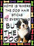 Shawprint Bernese Mountain Dog Fridge Magnet 100mm x 75mm HOME IS WHERE THE DOG HAIR STICKS TO EVERYTHING BUT THE DOG Novelty Gift