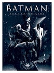 DC Comics Batman Arkham Origins "Montage" Canvas Prints, Multi-Colour, 40 X 50 cm