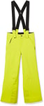 Spyder Boy's Spyder Power Pants Ski trousers, Lemon, S UK