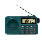 AM/FM Radio, Bluetooth Pocket Radio Bass Speaker, Support Micro-SD1710