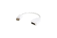 StarTech.com Mini DVI to HDMI Video Adapter for Macbooks and iMacs- M/F - MacBook Mini DVI Adapter - Mini DVI to HDMI Cable (MDVIHDMIMF) - videokort - HDMI / DVI - 20 cm