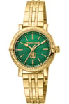 Montre Roberto Cavalli by FM RV1L193M0061 pour Femme Vert en Acier