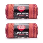 Red Heart Super Saver Ombre Hot Sauce Yarn - 2 Pack of 10oz/283g - Acrylic - 4 Medium (Worsted) - 482 Yards - Knitting/Crochet, 4.25 x 10.5 x 4.25