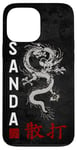 iPhone 13 Pro Max Dragon Sanda Chinese Boxing Case