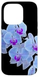 Coque pour iPhone 14 Pro Magnifique orchidée bleue Phalaenopsis en forme de mania