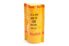 Kodak 400TX 400 Iso 120 B/W Film Tri-X 1x Éléments (1717859810)