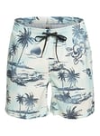 Quiksilver Short de Bain Homme,Bleu et Blanc Motifs Palmier Birch, S