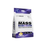 Mass Gainer Protein Powder, Banana, Out Angled Method Mass Weight Gainer 6kg