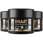 Shilajit Resin Gold Standard Shilajit - 600mg Himalayan Shilajit Blend with Ayurvedic Herbal Extracts, High Levels of Fulvic Acid, Supports Energy and Performance, 30 g (Pack of 3)