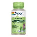 Solaray Astragalus - 100 kap