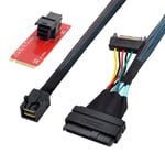 U.2 U2 SFF-8639 NVME PCIe SSD Cable - Adaptateur pour Mainboard Intel SSD 750 p3600 p3700 M.2 SFF-8643 Mini SAS HD