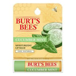 Cucumber Mint Lip Balm Blister 0.15 Oz By Burts Bees