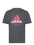 Adidas Performance Mufc Kids Tee Grå