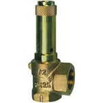 RIEGLER 117634-221.05-5,5 Valve de sécurité d'angle G 1 Pression de réponse 5,5 bar 1 pièce