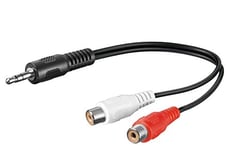 PremiumCord Câble StereoJack pour Cinch, StereoJack 3,5 mm Plug pour 2X Cinch Socket, RCA Jack, Stéréo Audio, Caméras Numériques, TV, Téléphones Mobiles, AUX, MP3, HiFi, Black, Longueur Noire, 20 cm