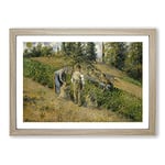 Big Box Art The Harvest by Camille Pissarro Framed Wall Art Picture Print Ready to Hang, Oak A2 (62 x 45 cm)