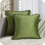 Lot de 2 Housse Coussin Decoration Salon Noël Moderne pour Coussin Canape et Fauteuil De Bureau Carré en Velours Doux de Double Face( 45x45,Vert