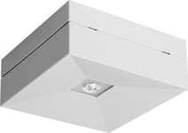 Awex Nödbelysningsarmatur Lovato N Eco Led 1W 125Lm (Opt. Öppen) 1H Enkelstrålande Vit Lvno/1W/Ese/X/Wh - Lvno/1W/Ese/X/Wh