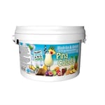 Slush Ice Piña Colada ger 2.5 Liter