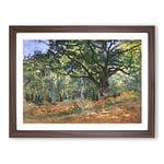 The Bodmer Oak Tree By Claude Monet Classic Painting Framed Wall Art Print, Ready to Hang Picture for Living Room Bedroom Home Office Décor, Walnut A3 (46 x 34 cm)