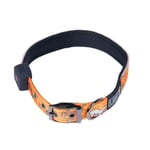 Hundhalsband Light5 Doggo Led Collar, Orange, M