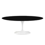 Knoll - Saarinen Oval Table - Matbord, 198 x 121 cm, Vitt underrede, skiva i Svart laminat - Spisebord - Eero Saarinen - Svart - Laminat/Metall