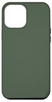 Coque pour iPhone 15 Plus Couleur : vert