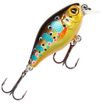 Mikado Fishunter Bold Head 4 cm vaappu Brown Trout