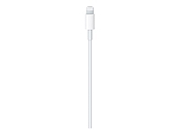 CHARGEUR SECTEUR Apple MQGH2ZM/A