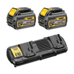 DeWALT Laddpaket DCB132T2