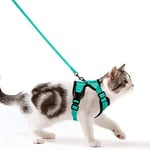 Wdmiya Harnais Chat Petit Chien Laisse Harnais Chaton Réglable Gilet Refléchissant Respirant, Collier Harnais et Laisses Sécurité Anti-évasion pour Lapin Chats et Chiots (S, Vert)