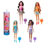 Barbie Coffret Assortiment Poupées Color Reveal Série Groovy, Accessoires Avec 6 Surprises Inclus, À Collectionner, Jouet Enfant, A Partir De 3 Ans, HRK06