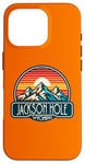 iPhone 16 Pro Jackson Hole Case