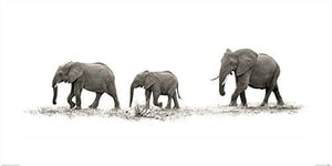 The Art Group Mario Moreno (The Elephants) -Art Print 50 X 100cm, Paper, Multicoloured, 50 x 100 x 1.3 cm