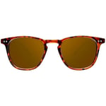 Lunettes de soleil Northweek  Wall Tortoise Polarisees